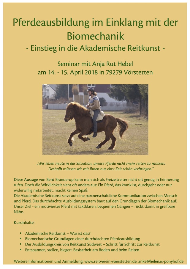 Flyer Einstieg in die Akademische Reitkunst