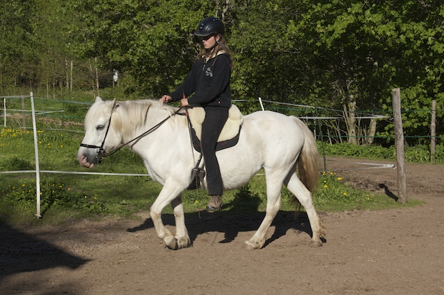 bounty reiten