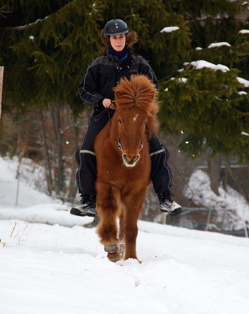 glaedir winter