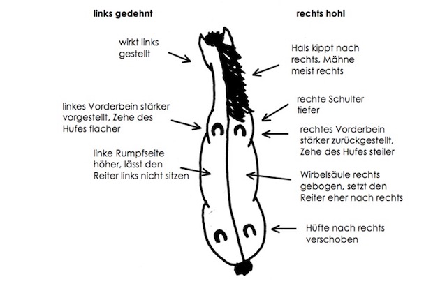 rechts hohl neu